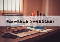 专业seo优化企业（seo专业怎么优化）