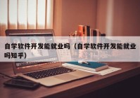 自学软件开发能就业吗（自学软件开发能就业吗知乎）