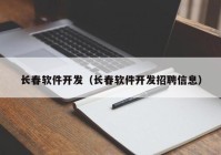 长春软件开发（长春软件开发招聘信息）