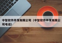 中智软件开发有限公司（中智软件开发有限公司电话）