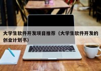 大学生软件开发项目推荐（大学生软件开发的创业计划书）