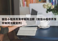 微信小程序开发中如何注释（微信小程序开发中如何注释文件）